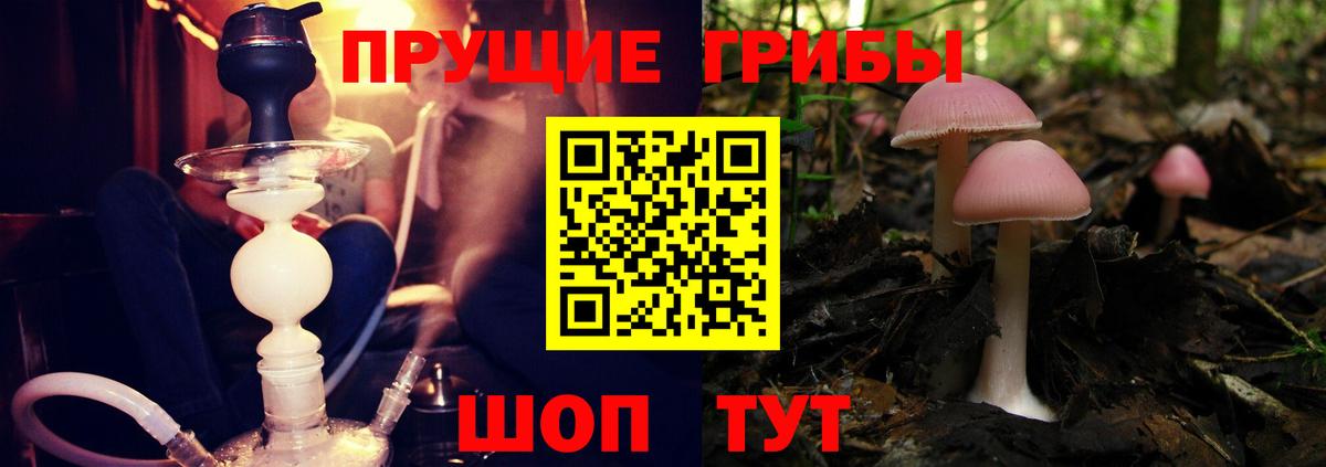 Псилоцибиновые грибы Cubensis Кашира